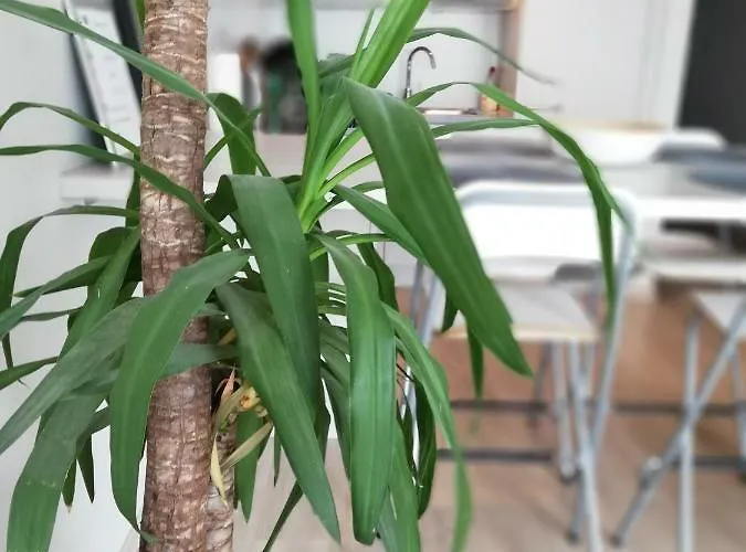 아파트 Vlak Bij Zee